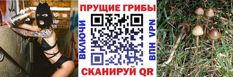 где купить наркотик  мориарти как зайти  Псилоцибиновые грибы ЛСД  Ликино-Дулёво 
