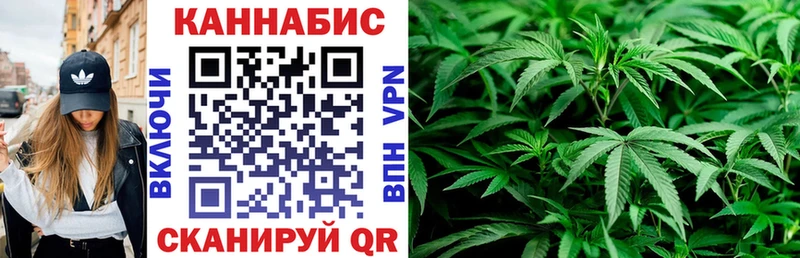 Каннабис индика Ликино-Дулёво